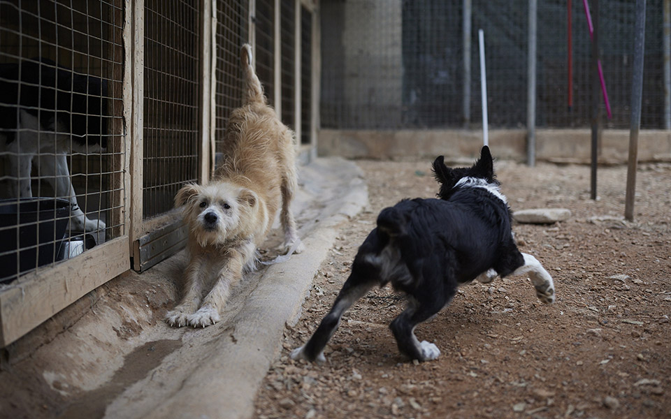 οι-ρώσοι-έβγαλαν-τα-πρώτα-εμβόλια-κατά-561350005