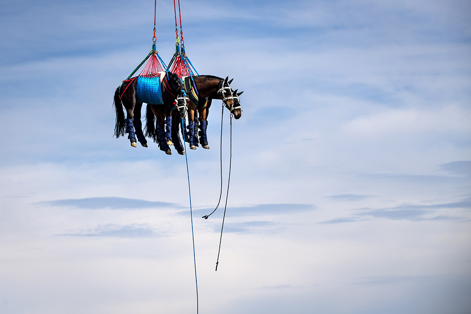 με-γαλάζιο-φόντο-561325165