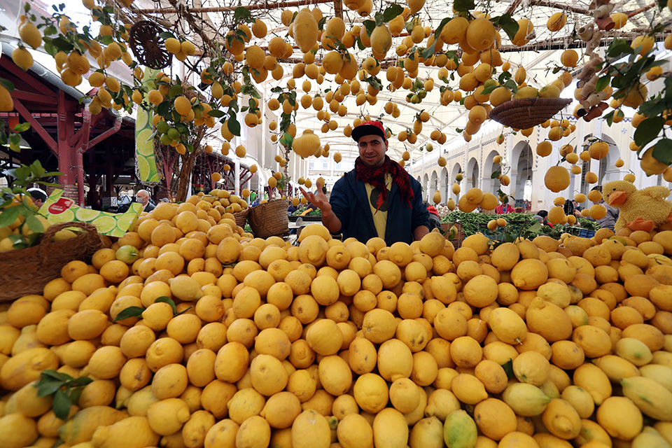 Προετοιμασίες
