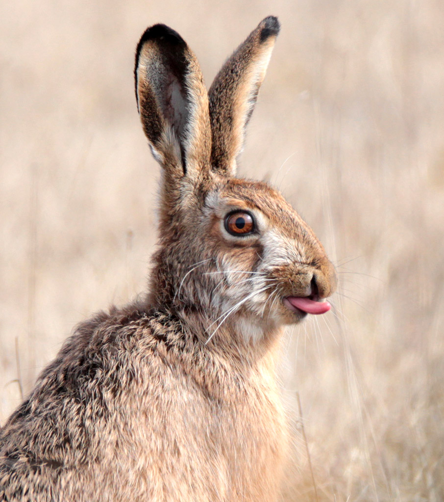 Ταξίδια με το νου -7