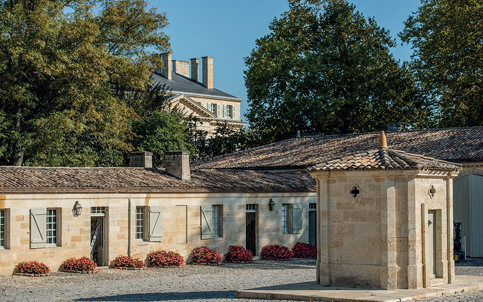 Κορίνα Μεντζελοπούλου: Η Ελληνίδα στον «θρόνο» του γαλλικού αμπελώνα-4