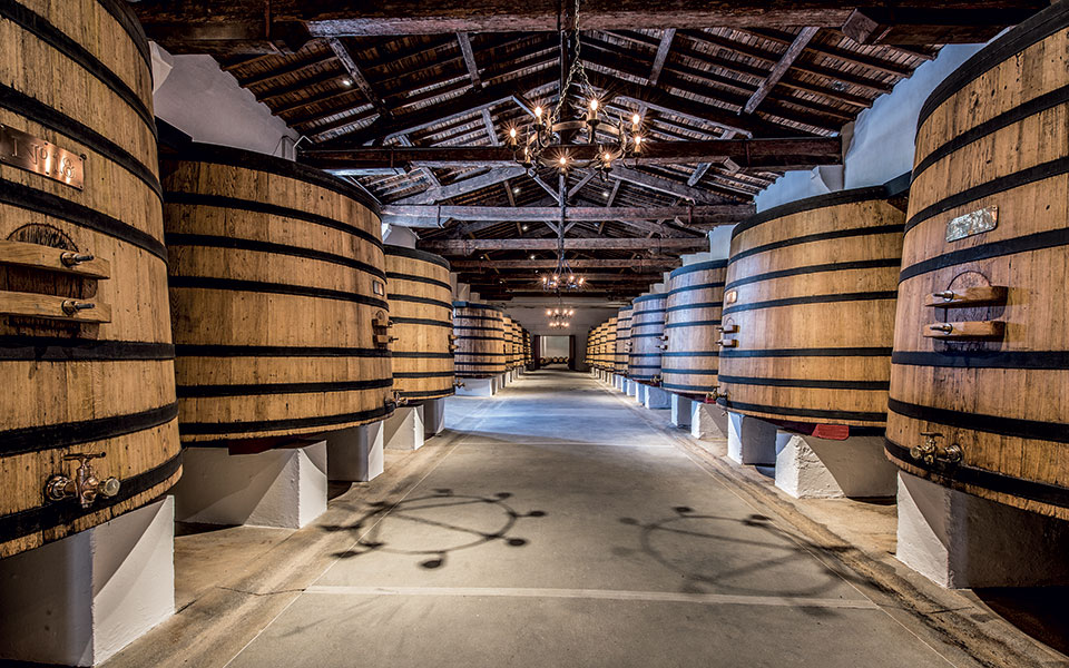 Κορίνα Μεντζελοπούλου: Η Ελληνίδα στον «θρόνο» του γαλλικού αμπελώνα-2