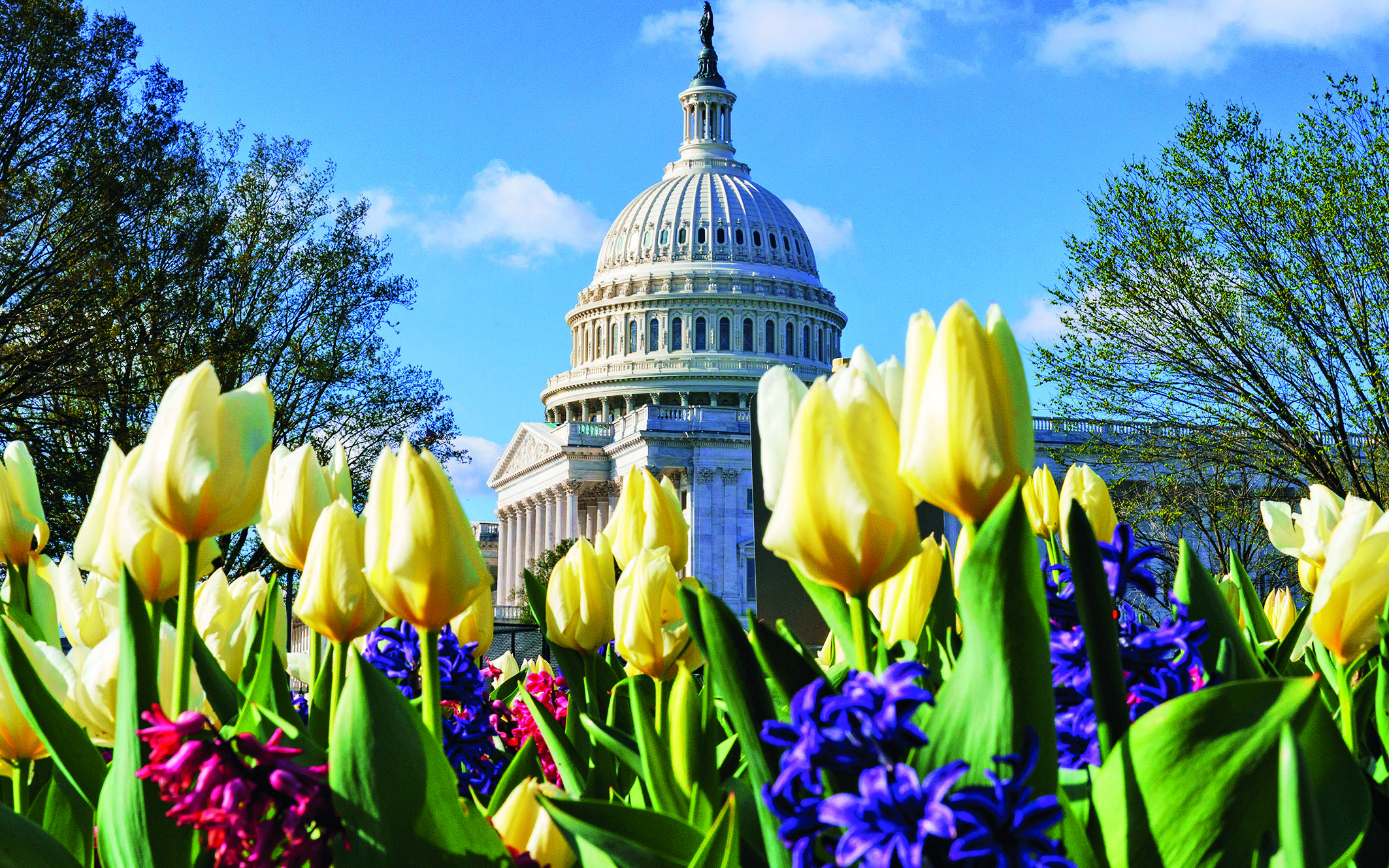 το-new-deal-του-τζο-μπάιντεν-στοίχημα-για-τη-δ-561317833