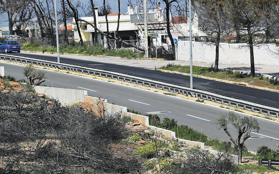 αναθεώρηση-του-δασικού-χάρτη-για-το-μά-561323074