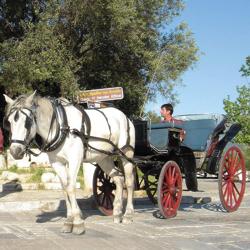 Ο τελευταίος αμαξάς της Ακρόπολης Γιώργος Σταυρίδης και ο κατάλευκος Μάκης μάς περιμένουν για βόλτα-2