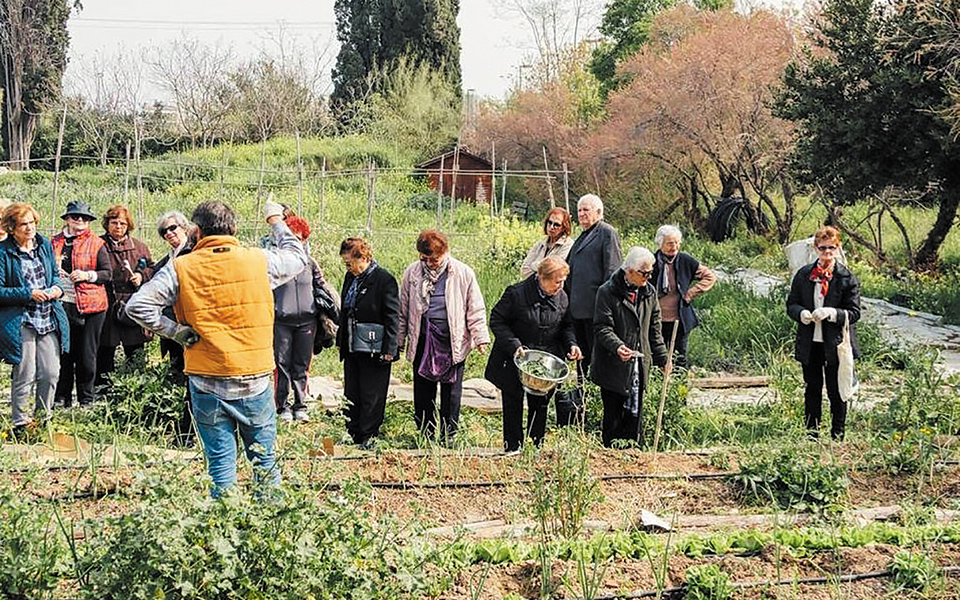 ξεχωρίζοντας-την-ήρα-από-το-στάρι-561327241
