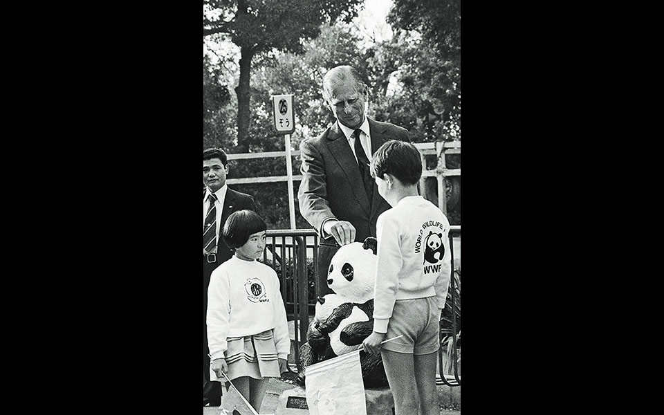 ομορφος-άφραγκος-άπατρις-ο-τέλειος-σύ-561335239