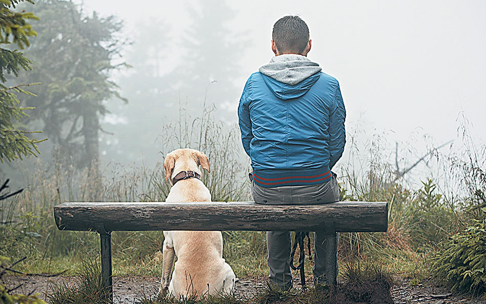 το-σχέδιο-νόμου-για-τα-ζώα-ή-πώς-η-ελπίδ-561334726