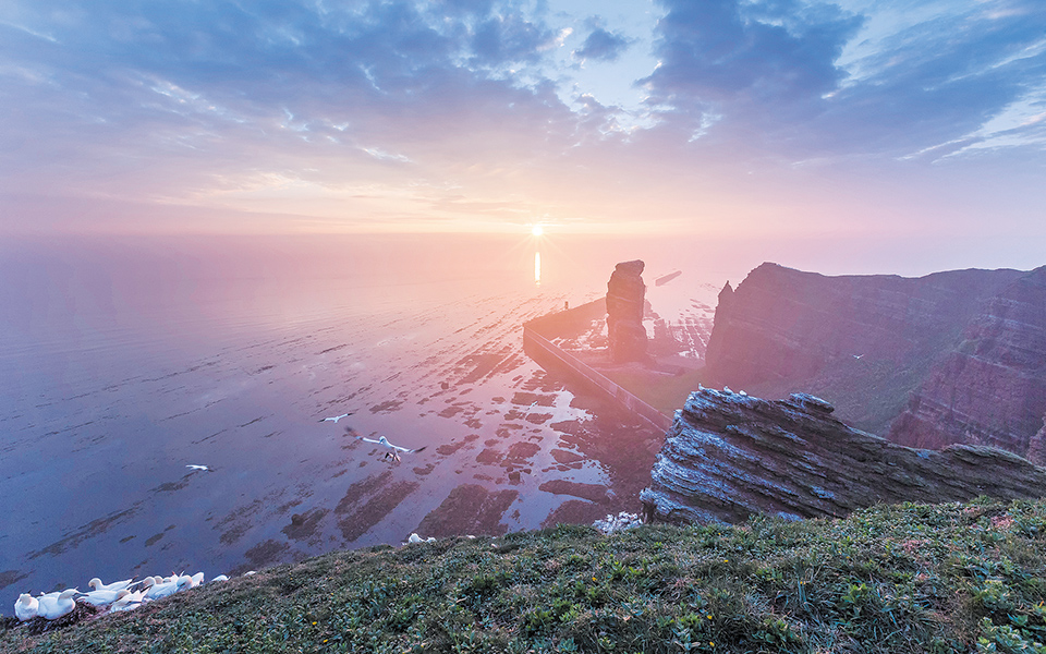 οταν-η-φύση-αδιαφορεί-απέναντι-στην-κο-561342031