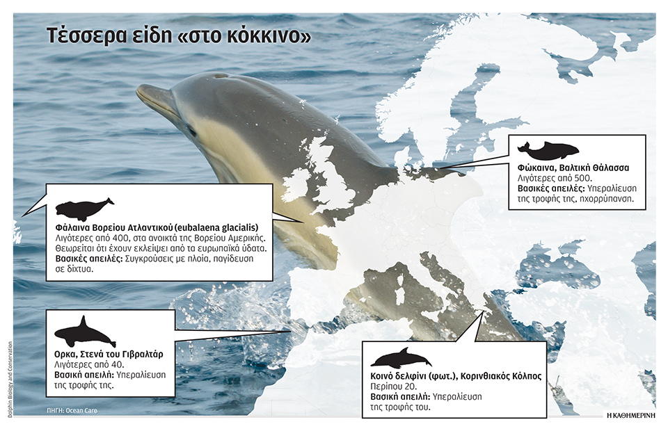 Σε κίνδυνο δελφίνια και φάλαινες-1