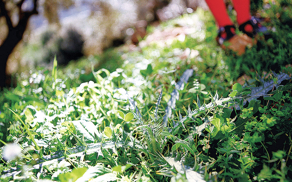 έξι-άνθρωποι-του-πολιτισμού-μοιράζον-561348706