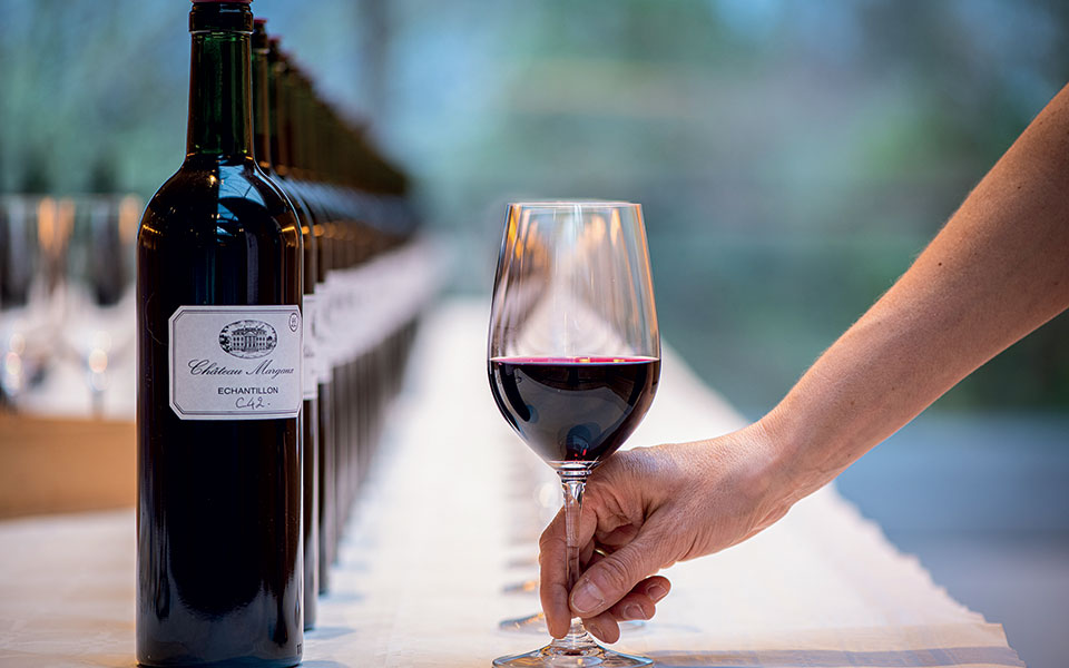 Κορίνα Μεντζελοπούλου: Η Ελληνίδα στον «θρόνο» του γαλλικού αμπελώνα-5