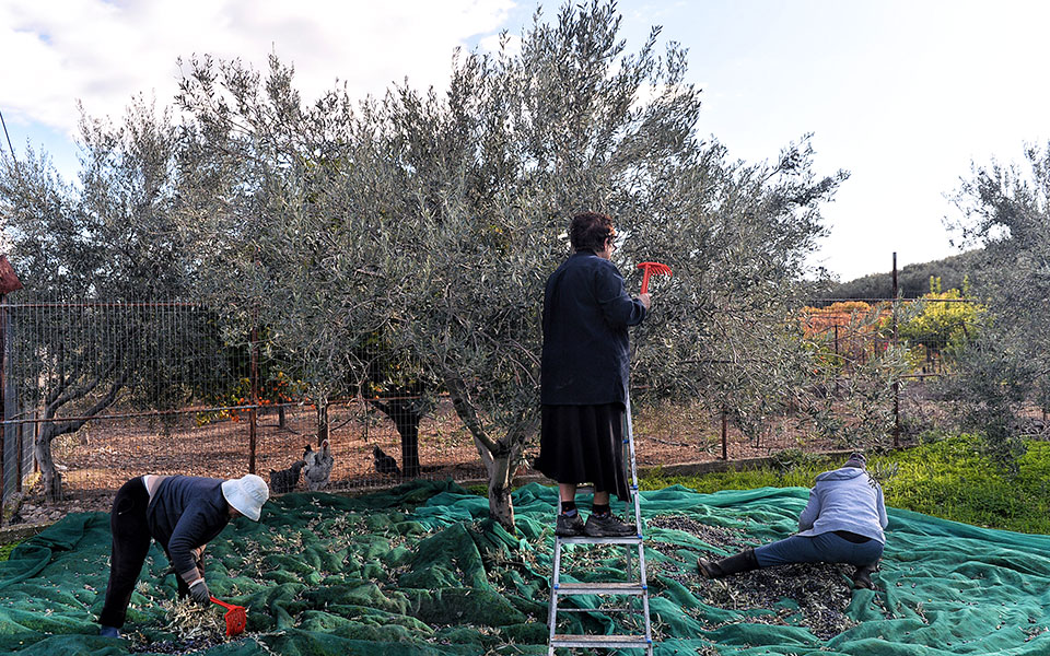 αλγόριθμος-απειλεί-παραδοσιακά-ελ-561331624