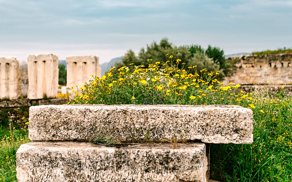 αφιέρωμα-περίπατοι-στην-ιστορία-561336400