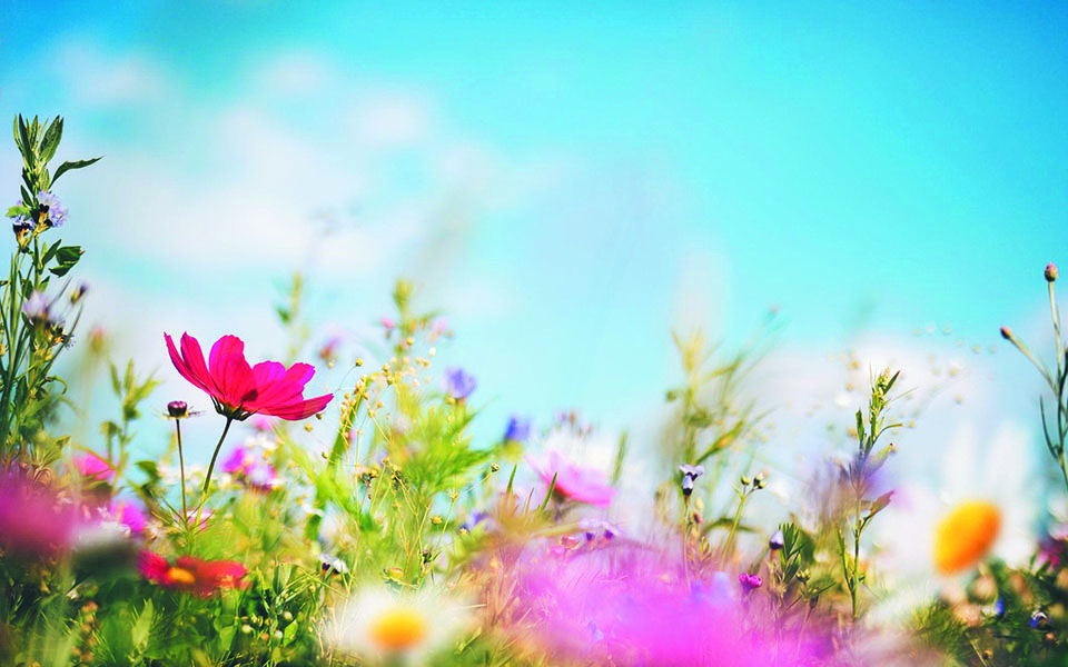 μίλα-μου-για-πάσχα-561333667