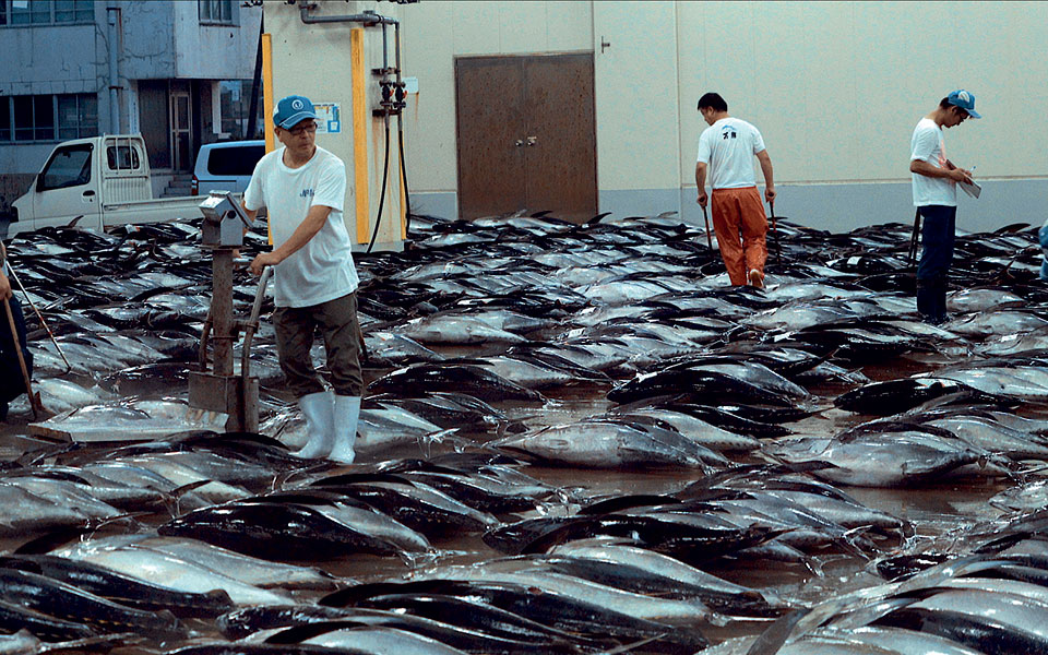 η-συνωμοσία-της-θάλασσας-561330805