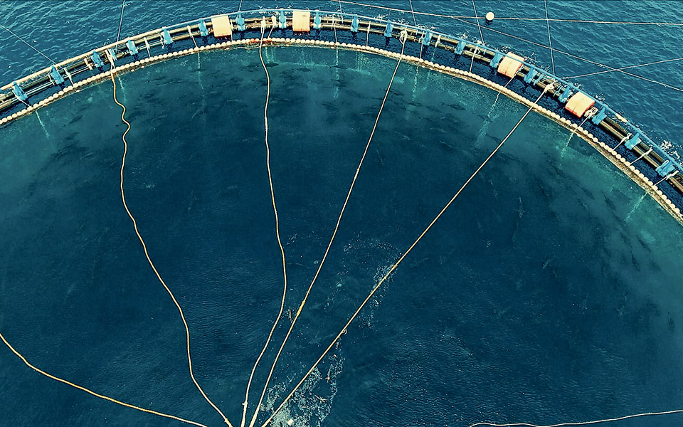 Η συνωμοσία της θάλασσας-2