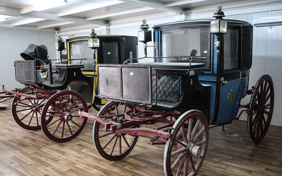 τατόι-προς-αποκατάσταση-οι-δώδεκα-άμα-561344668