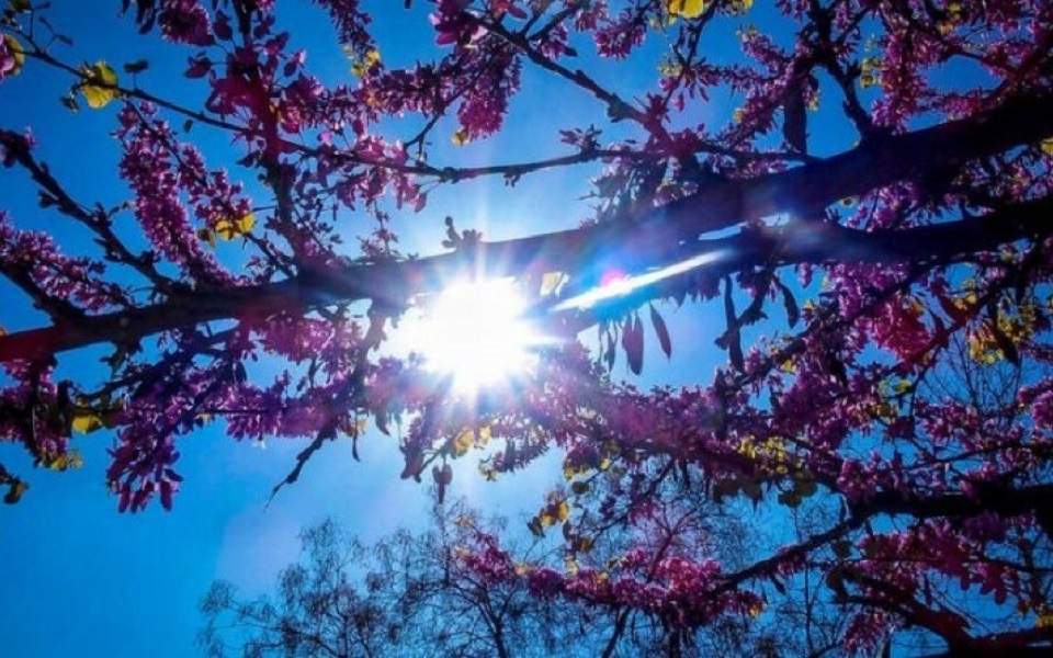 καιρός-γενικά-αίθριος-με-αισθητή-άνοδ-561315172