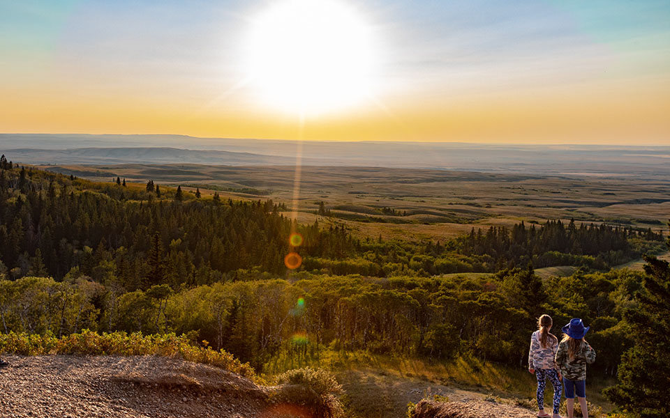 κορωνοϊός-έρευνα-λιγότεροι-θάνατοι-561323914