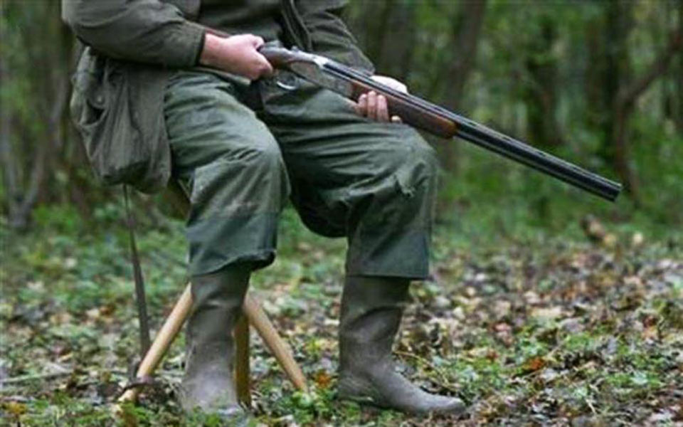 συναγερμός-για-τη-λαθροθηρία-τρυγονι-561340102