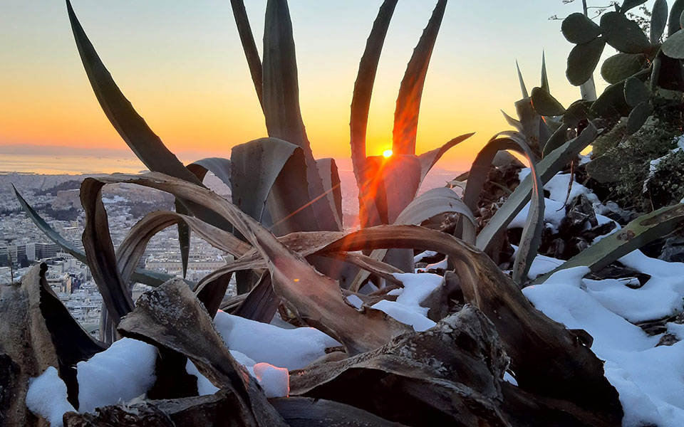 ο-εφετινός-μάρτιος-από-τους-πιο-κρύους-561314896