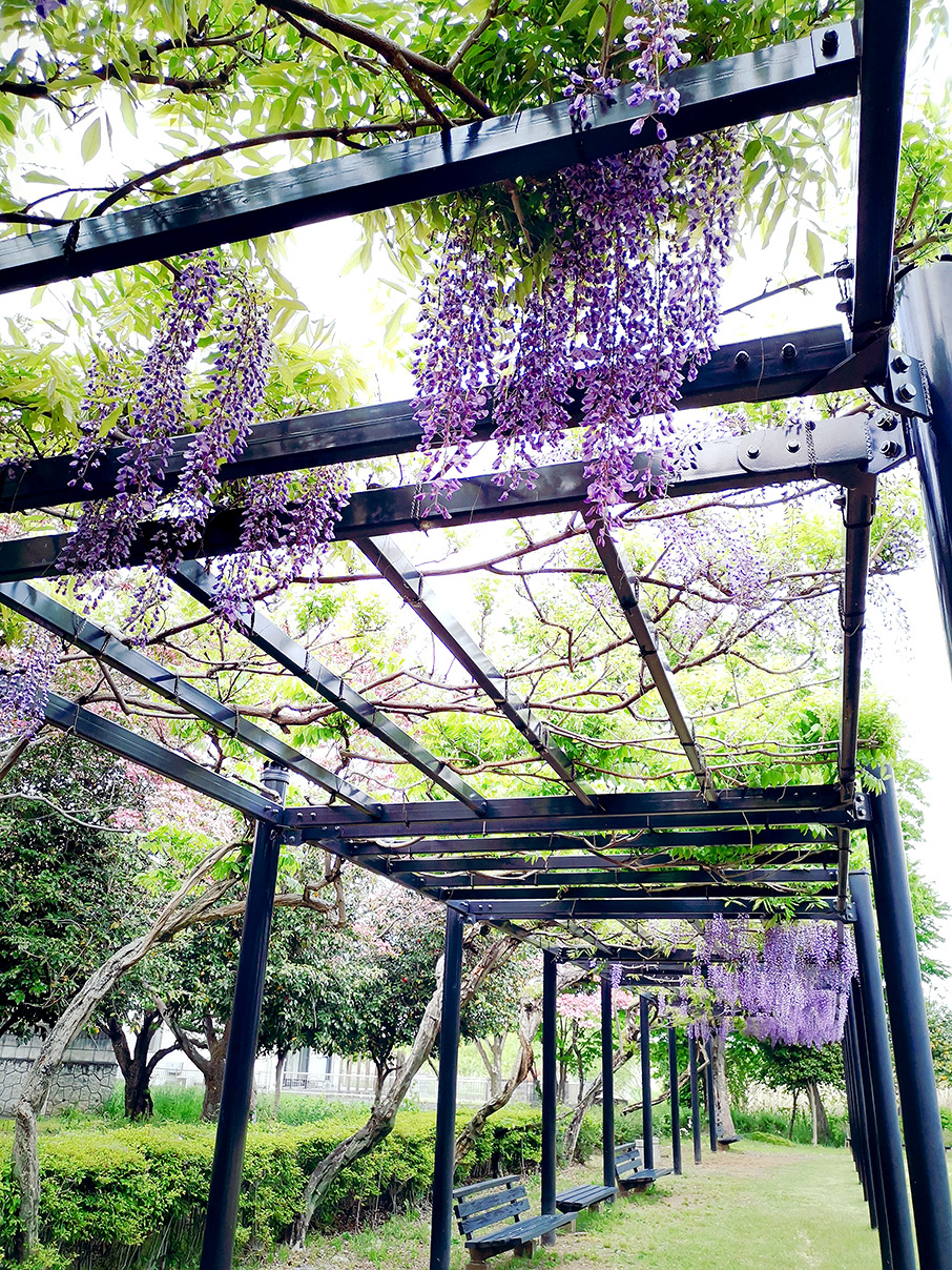 5 ιδέες για πέργκολες που θα σας εμπνεύσουν-4