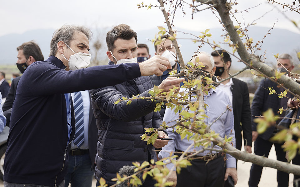 επίσκεψη-κυρ-μητσοτάκη-σε-καλλιέργει-561334843