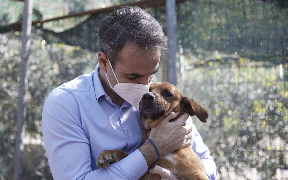 μέγαρο-μαξίμου-ο-πίνατ-ο-τετράποδος-έν-561335512