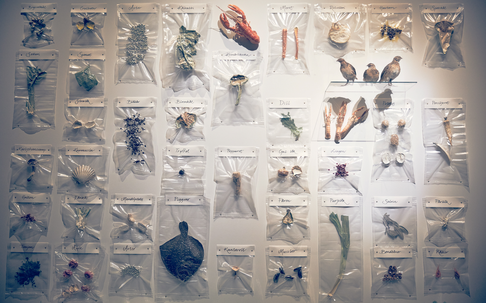 ayti-tin-kyriaki-sto-periodiko-taxidia-design-poy-anoigei-to-myalo0