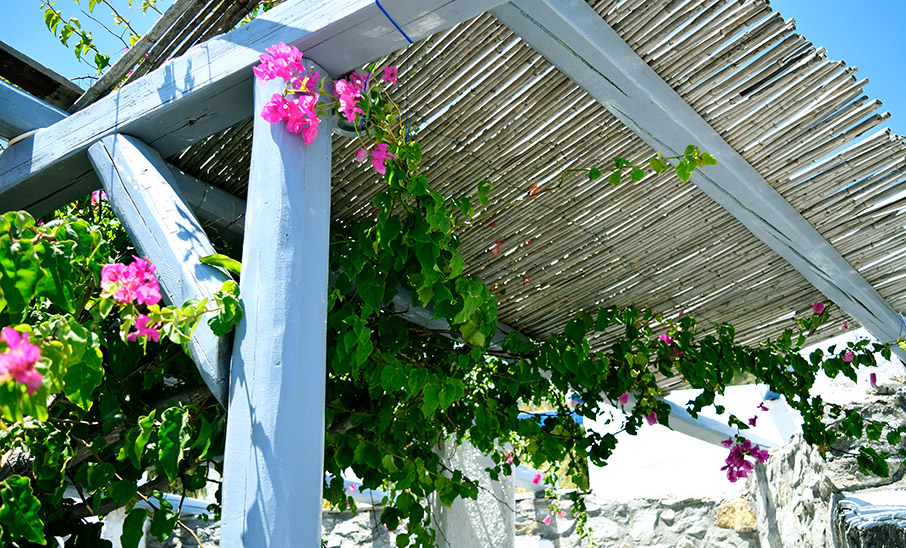 5 ιδέες για πέργκολες που θα σας εμπνεύσουν-3