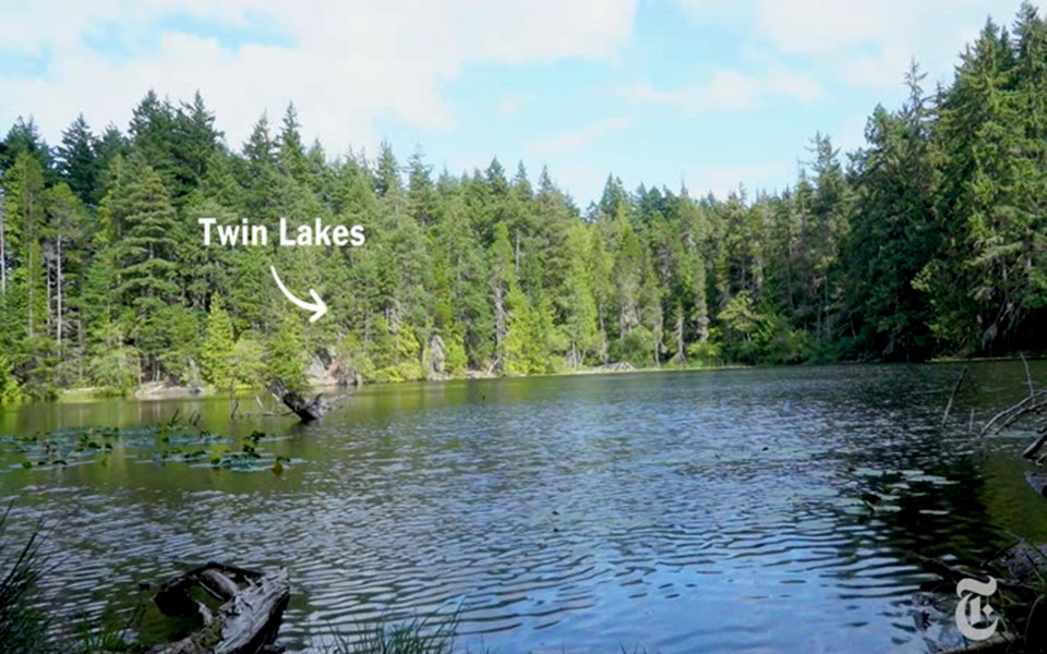 βίντεο-nyt-βρίσκοντας-το-αντίδοτο-στη-μο-561327496