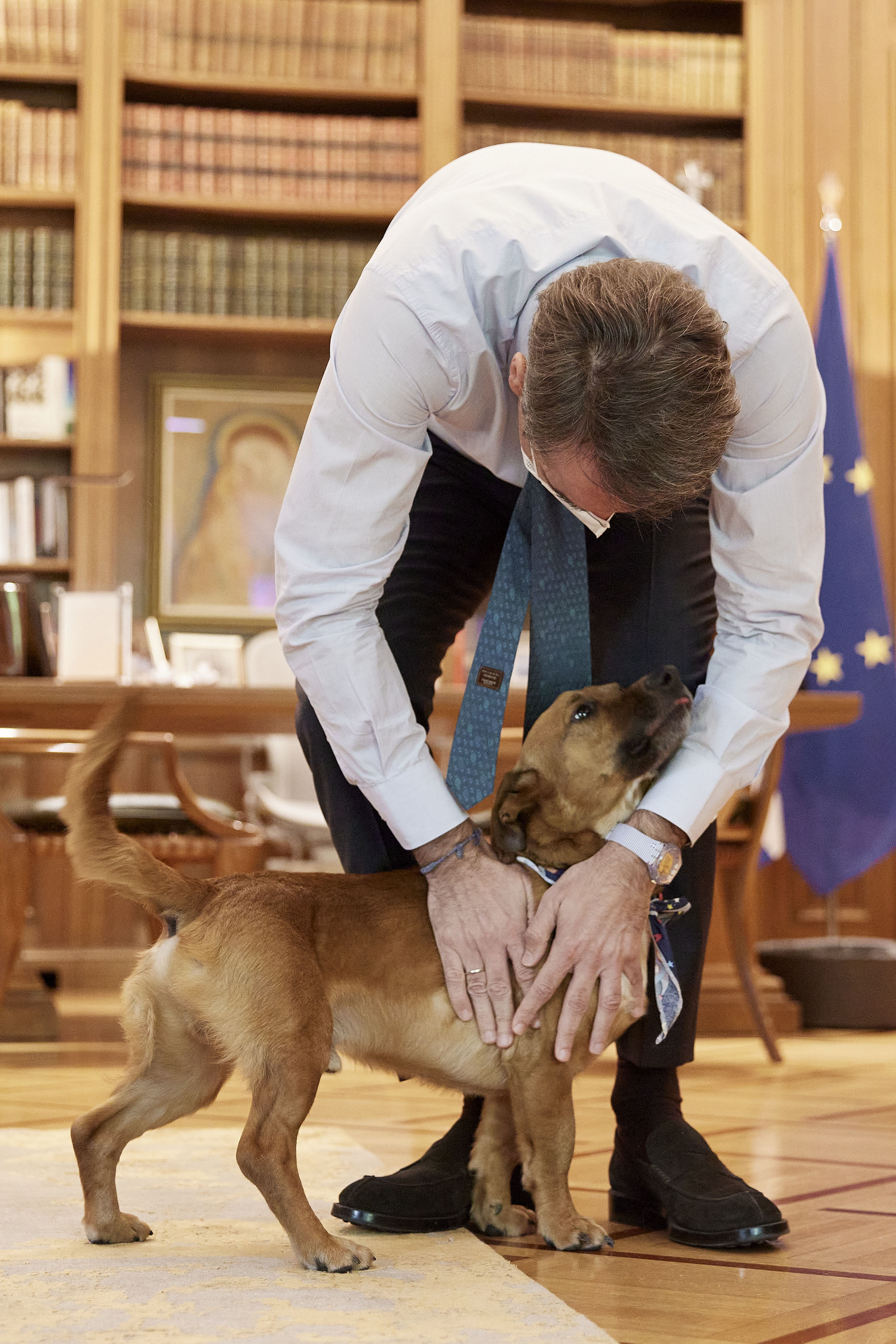 Μέγαρο Μαξίμου: Ο Πίνατ ο τετράποδος ένοικος που υιοθέτησε ο Κυριάκος Μητσοτάκης-4