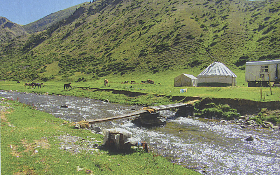 αναζητώντας-το-ίχνος-μιας-θρυλικής-δι-561329041