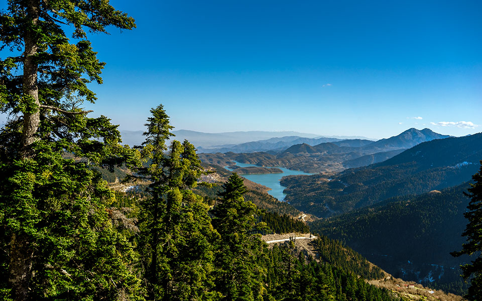 Νέοι της επαρχίας: Mατθαίος Κoλοφωτιάς, Καρδίτσα-2