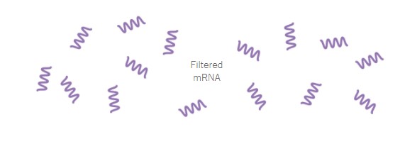 Στα εργαστήρια της Pfizer: Τα 19 βήματα για την παραγωγή του εμβολίου-11