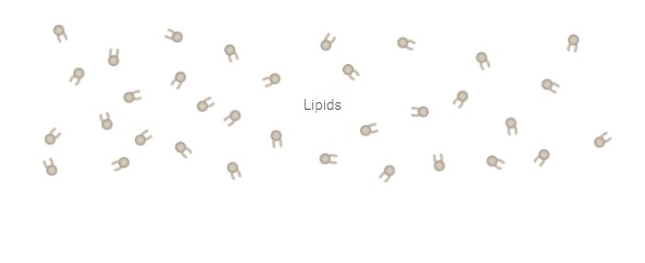 Στα εργαστήρια της Pfizer: Τα 19 βήματα για την παραγωγή του εμβολίου-13