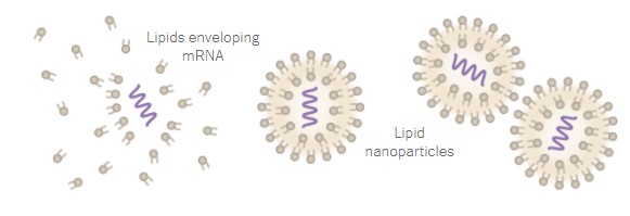Στα εργαστήρια της Pfizer: Τα 19 βήματα για την παραγωγή του εμβολίου-14