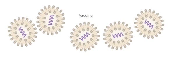 Στα εργαστήρια της Pfizer: Τα 19 βήματα για την παραγωγή του εμβολίου-15