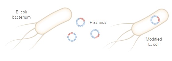 Στα εργαστήρια της Pfizer: Τα 19 βήματα για την παραγωγή του εμβολίου-2
