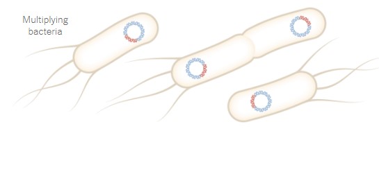 Στα εργαστήρια της Pfizer: Τα 19 βήματα για την παραγωγή του εμβολίου-3