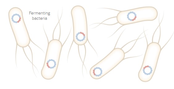 Στα εργαστήρια της Pfizer: Τα 19 βήματα για την παραγωγή του εμβολίου-4