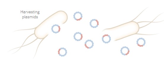 Στα εργαστήρια της Pfizer: Τα 19 βήματα για την παραγωγή του εμβολίου-5