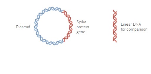 Στα εργαστήρια της Pfizer: Τα 19 βήματα για την παραγωγή του εμβολίου-6