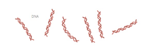 Στα εργαστήρια της Pfizer: Τα 19 βήματα για την παραγωγή του εμβολίου-8