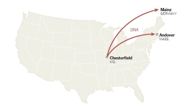 Στα εργαστήρια της Pfizer: Τα 19 βήματα για την παραγωγή του εμβολίου-9