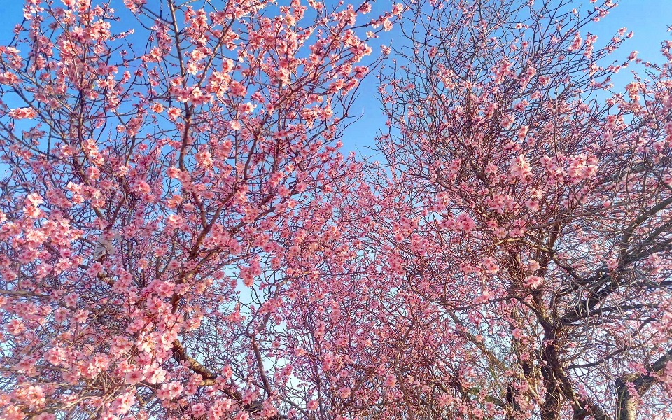 έως-και-10-βαθμοί-η-άνοδος-της-θερμοκρασ-561315481