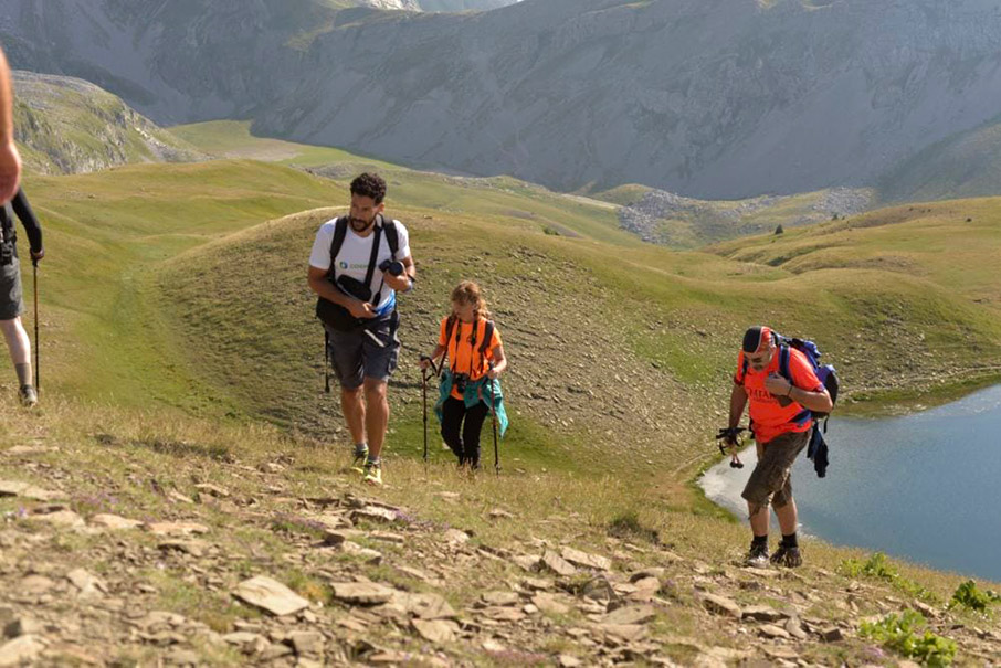 Φωτογραφικά σαφάρι στην Ελλάδα-3