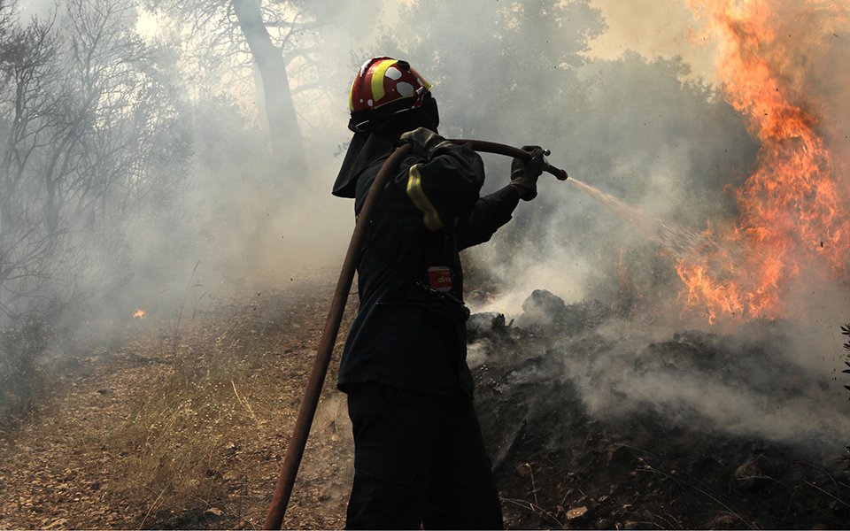 φωτιά-τώρα-στο-αρίστηνο-έβρου-κινητ-561375166