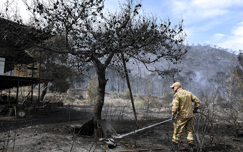 Φωτιά στον Σχίνο: Κάηκαν σπίτια στο Αλεποχώρι – Σε επιφυλακή για αναζωπυρώσεις (εικόνες)-1